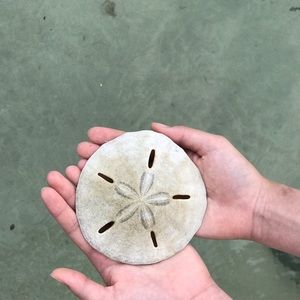 Meet your Posher, Janice